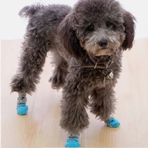 CALCETINES PARA PERROS ANTIDESLIZANTES T/S